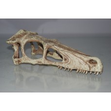 Vivarium Large Dinosaur Skull 24 x 8 x 9 cms 