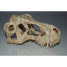 Vivarium Ex Large T Rex Dinosaur Skull 26 x 11 x 13 cms 