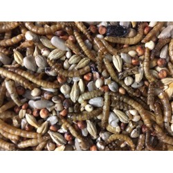 No Mess & Mealworm Mix