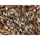 No Mess & Mealworm Mix