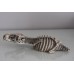 Large Detailed Dinosaur Skeleton 27 x 8 x 5 cms 