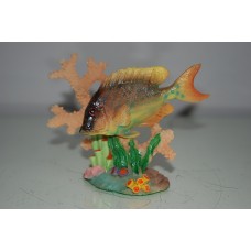 Detailed Fish & Coral Base Ornament 13 x 6 x 9 cms
