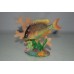 Detailed Fish & Coral Base Ornament 13 x 6 x 9 cms