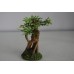  Detailed Set Of 3 Bonsai Trees Planted Decorations 7 x 6 x 12
