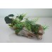 Detailed Wood Garden Log & Plants 24 x 9 x 12 cms