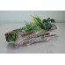 Detailed Wood Garden Log & Plants 24 x 9 x 12 cms