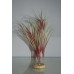 Aquarium Plant Echndrus Tenlus Cream & Red  With Weighted Base 28 cms High