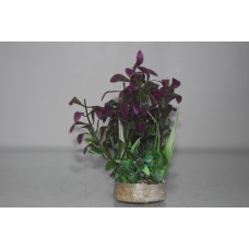 Purple & Green Plant With Sandstone Base and Airstone 6 x 6 x 14 cms
