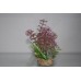 Red & Green Plant With Sandstone Base and Airstone 6 x 6 x 14 cms