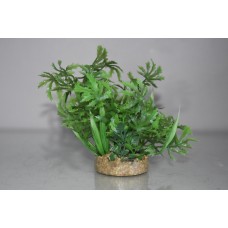 Green Plant With Sandstone Base and Airstone 6 x 6 x 14 cms