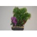 Aquarium Plant & Rock Base With Sucker For Mounting On Glass 10 x 23 cms