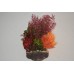 Aquarium Plant & Rock Base With Sucker For Mounting On Glass 10 x 25 cms