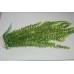 Aquarium Green Fern Type Plastic Plant & Weighted Base Approx 41 / 43 cms