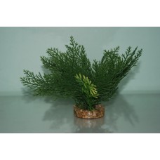 Aquarium Green Plant 15 cms Fern Style With Gravel Weighted Base 