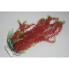 Aquarium Plants Approx 33cms High Green & Red Thin Leaf