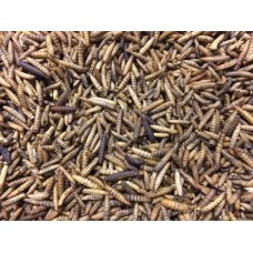 Dried Calci Worms 2.5 Ltr  Tub Approx 350g