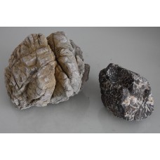 Natural Lichen Base Rock x 2 Pieces B