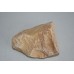 Natural 4 Pieces of Picture Stone Rock 