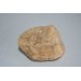 Natural 4 Pieces of Picture Stone Rock 