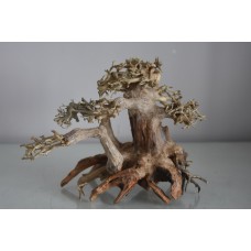 Aquarium Hand Crafted Aqua Tree Oak Approx Size 21 x 10 x 16 cms