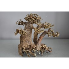 Aquarium Hand Crafted Aqua Tree Oak Approx Size 20 x 12 x 17 cms