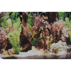 19 inches Tall x 12 Inches Long Aquarium Planted Background Double Sided Gloss Finish