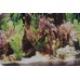 19 inches Tall x 72 Inches Long Aquarium Planted Background Double Sided Gloss Finish