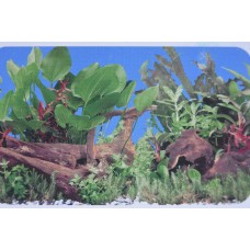 12 inches Tall x 12 Inches Long Aquarium Planted Background Double Sided Gloss Finish