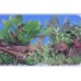 19 inches Tall x 48 Inches Long Aquarium Planted Background Double Sided Gloss Finish