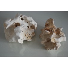 Aquarium Natural Coral  Cichlid Rock 2 Pieces BA14