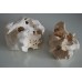 Aquarium Natural Coral  Cichlid Rock 2 Pieces BA14