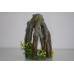 Stunning Detailed Medium Root & Plants 14 x 11 x 22 cms