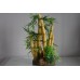 Aquarium Stunning Detailed Large Bamboo & Plant Decoration 13 x 13 x 29 cms