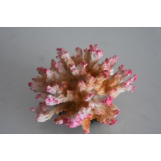 Detailed Aquarium Coral Decoration Pink & White 10 x 10 x 6 cms