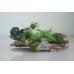 Detailed Wood & Garden with Plants Decoration 24 x 8 x 6cms