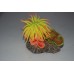 Aquarium Coral Yellow & Orange Anemone On Coral Rock 8.5 x 6 x 7 cms
