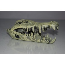 Aquarium Detailed Decoration Crocodile Skull  14 x 6 x 6 cms