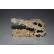 Aquarium Decoration Small Crocodile Skull 7.5 x 4 x 3.5 cms