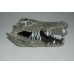 Nile Crocodile Skull 13 x 6 x 6 cms Suitable for all Aquariums