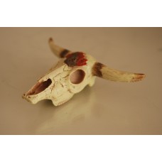 Detailed Small Longhorn Skull Ornament 8 x 12 x 3.5 cms