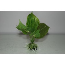 Aquarium Green Plant With Roots x 2 Pieces Approx 15 cms Tall 00A