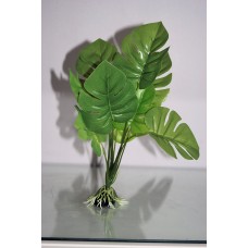 Aquarium Green Plant With Roots x 2 Pieces Approx 20 cms