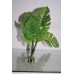 Aquarium Green Plant With Roots x 2 Pieces Approx 20 cms