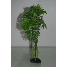 Aquarium Green Plant With Roots x 2 Pieces Approx 26 cms Tall 54G