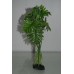 Aquarium Green Plant With Roots x 2 Pieces Approx 26 cms Tall 54G