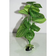 Aquarium Green Plants With Roots x 2 Pieces Approx 25 cms