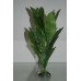 Aquarium Green Plants With Roots x 2 Pieces Approx 30 cms Tall 08J