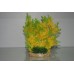 Aquarium Green & Yellow Hedge Plant & Pebble Base 11 x 7 x 23 cms