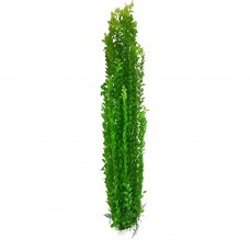 Large Aquarium or Garden Pond Plastic Plant  Approx 75 cms High Green White Top.
