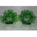 Aquarium 2 x Realistic Green Ring Plants 17 x 5 x 14 cms